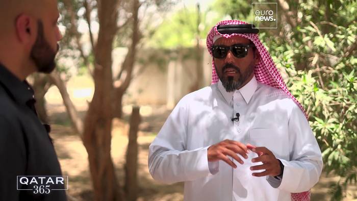 Video: Katar schützt gefährdete Tierarten