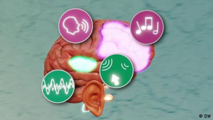 Video: Unser Gehör - von der Ohrmuschel zum Gehirn
