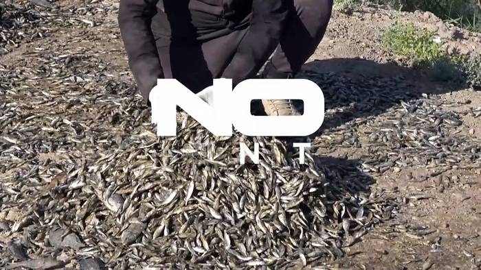 Video: Ist die Dürre im Südirak für Massensterben von Fischen verantwortlich?