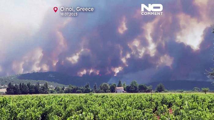 Video: Verzweifellte Menschen stehen vor Waldbränden bei Athen in Griechenland