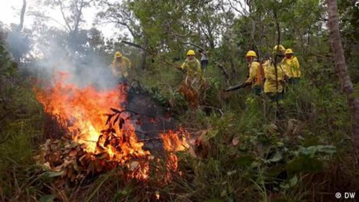 Video: Indigene Feuerwehrfrauen schützen den Regenwald
