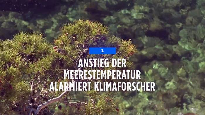 Video: Rekord-Wassertemperatur im Mittelmeer liegt bei erschreckenden 28,7 Grad