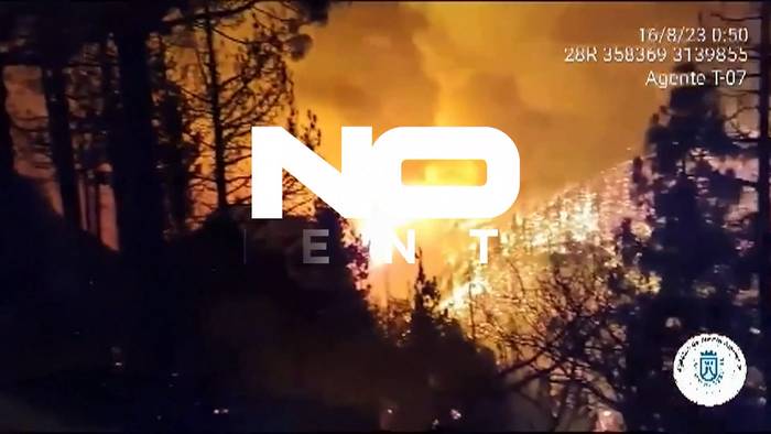 Video: Waldbrand wütet auf Teneriffa