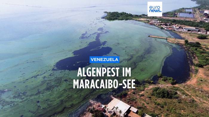 Video: Wo das grüne Gift brodelt: Umweltkatastrophe Maracaibo-See