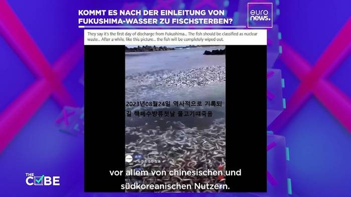Video: Wahr oder falsch: Hat die Verklappung des Fukushima-Wassers ein riesiges Fischsterben ausgelöst?