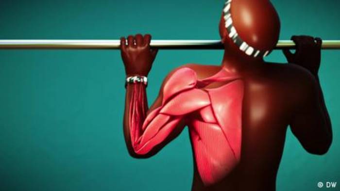 Video: Wie funktionieren eigentlich Muskeln?