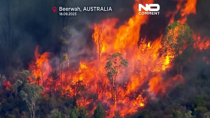 Video: Hitzewelle in Australien: Kaum ist der Winter vorbei, schon wüten Buschbrände