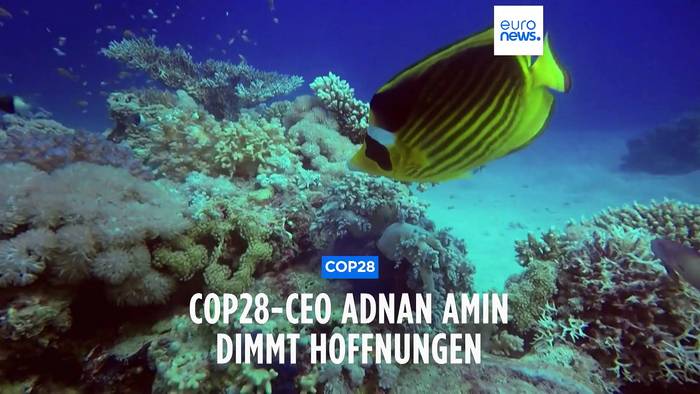 Video: COP28-CEO hält Ausstieg aus fossilen Brennstoffen für unwahrscheinlich