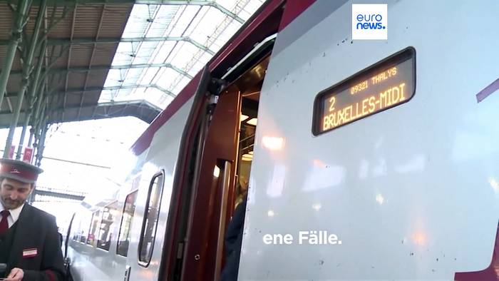 Video: Bettwanzenalarm in Paris: Frankreich setzt Spürhunde in öffentlichen Verkehrsmitteln ein