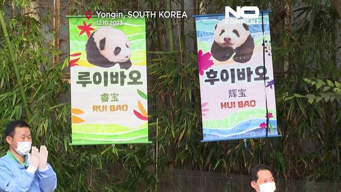 News video: Tierischer Nachwuchs: Zwillings-Pandas erblicken das Licht der Welt