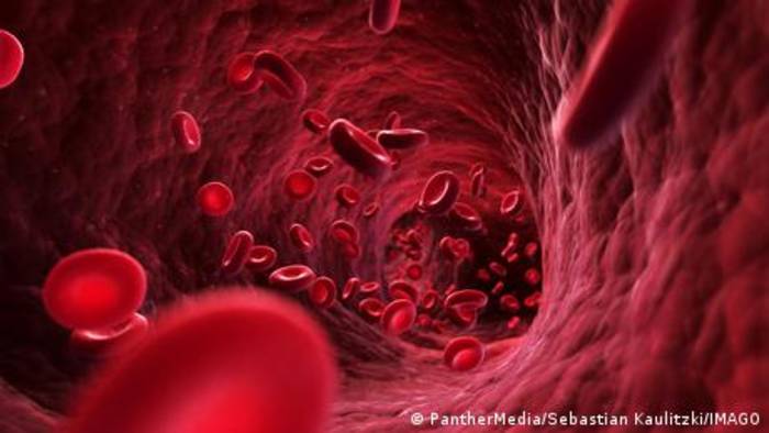 Video: Wie funktioniert der Blutkreislauf?