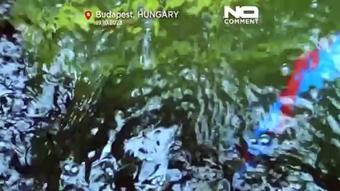 Video: Militärtaucher üben die Unterwasser-Entminung in der Donau