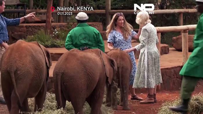 News video: König Charles und Camilla besuchen Elefanten und Nashorn-Baby in Kenia
