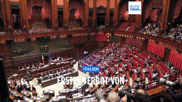 News video: Italien verbietet Laborfleisch noch vor einer EU-Zulassung