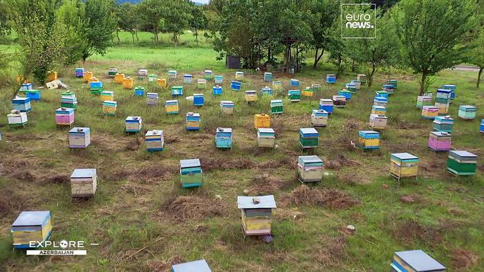Video: Aserbaidschans Aromen: Berghonig von Baumbienen aus dem Großen Kaukasus
