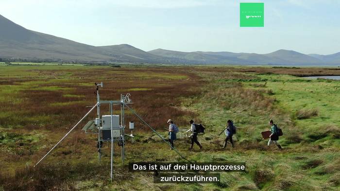 Video: Effektiv im Kampf gegen den Klimawandel: Salzwiesen
