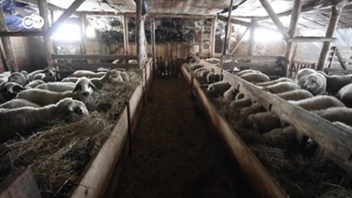 Video: Zu spät und zu wenig: Große Probleme bei Subventionen für serbische Landwirte