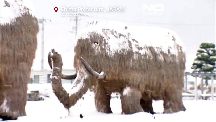 Video: Japan im Schnee: Wintermagie oder Fluch?