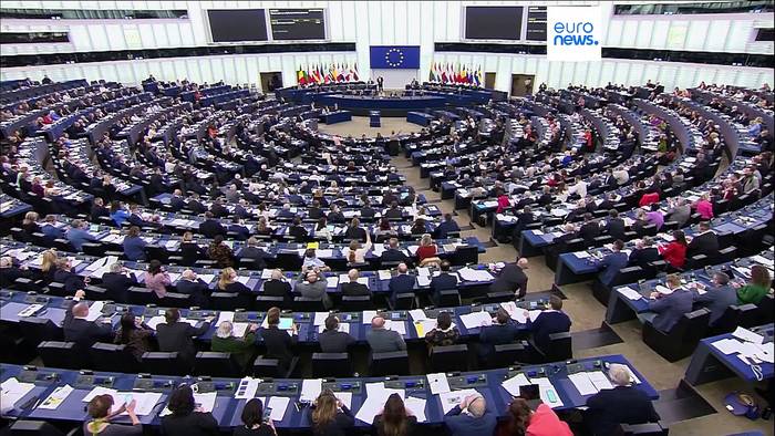 Video: EU-Parlament im Rausch: so viele Gesetze wie möglich vor den Europawahlen