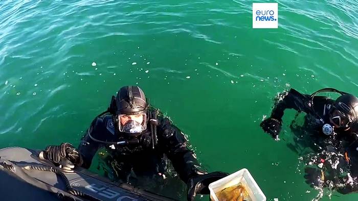 News video: Rumänien will mit gezüchteten Algen das Ökosystem Schwarzes Meer retten
