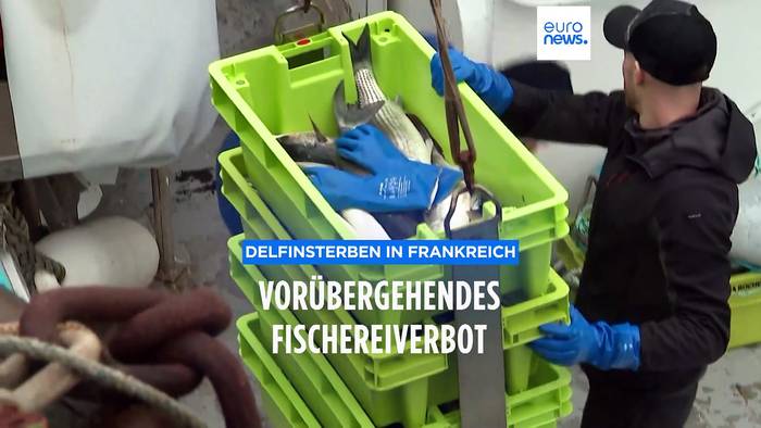 News video: Delfinsterben: Vorübergehendes Fischereiverbot in Frankreich tritt in Kraft