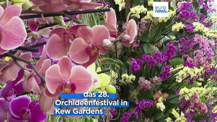 News video: London: Kew Gardens feiern Orchideen aus Madagaskar