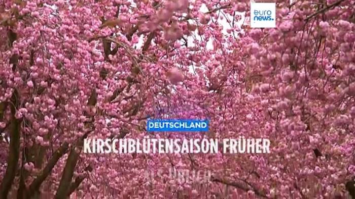 News video: Wetterkapriolen: Kirschblüte in Bonn zu früh, in Tokio zu spät