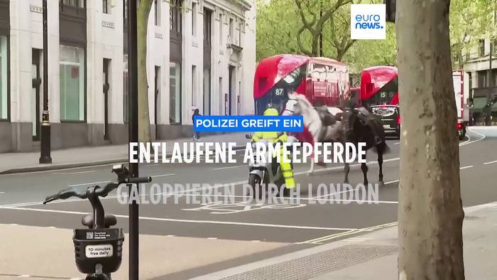 Video: Polizei greift ein: Entlaufene Pferde galoppieren durch London
