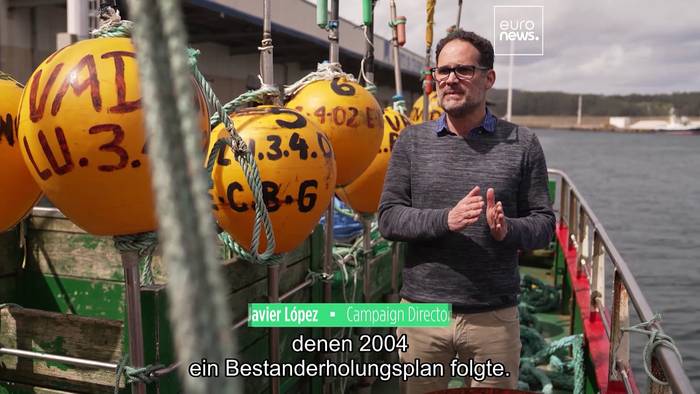 Video: Interview: Wie Europas schnelles Handeln den Seehecht rettete