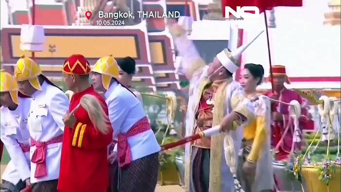 Video: Königliche Pflugzeremonie in Thailand: Ochsen sagen reiche Ernten voraus