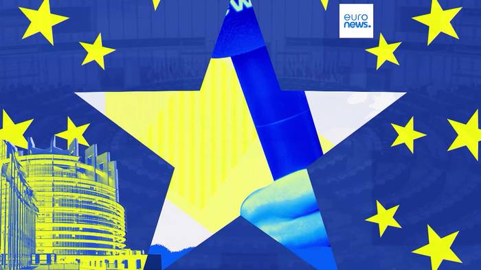 Video: Europawahlen: Was wollen die Wähler, was versprechen die Kandidaten? Folge 25: Hilfe für die Ukraine