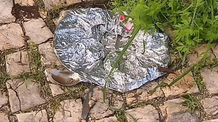 Video: Gefährliche Sucht: Beobachtungsstelle warnt vor polyvalentem Drogenkonsum