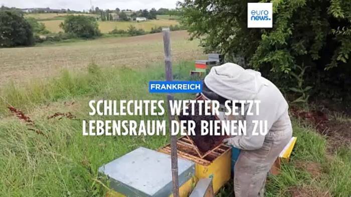 Video: Frankreich: Regen und niedrige Temperaturen machen Bienen zu schaffen
