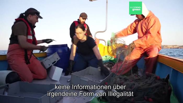 Video: Zusammenarbeit überbrückt die Kluft zwischen Fischern und Politikern