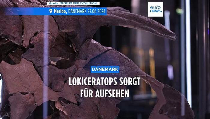 Video: Was ist ein Lokiceratops? Ein Dinosaurier mit riesigen Hörnern und 2 Meter langem Schädel