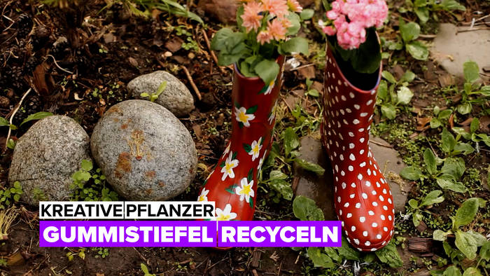 Video: Kreative Pflanzer: Nachhaltige Gummi-pflanzer