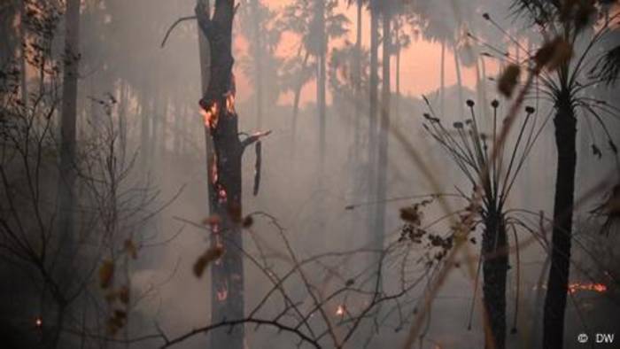 Video: Dürre und Feuer zerstören das Feuchtgebiet Pantanal
