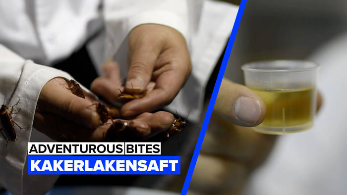 News video: Ist Kakerlakensaft gesund?