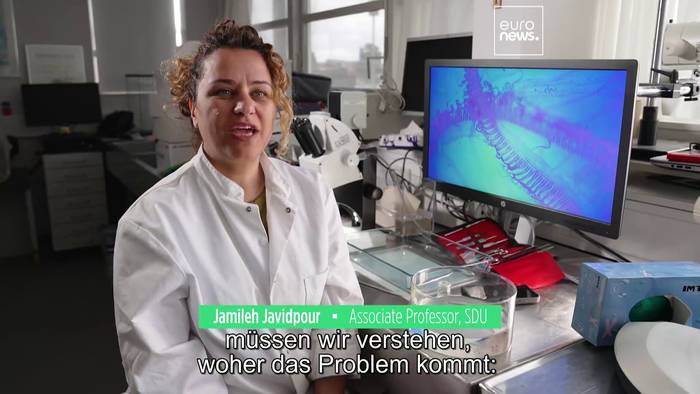 Video: Interview: Quallenboom - Bedrohung oder Schatz?