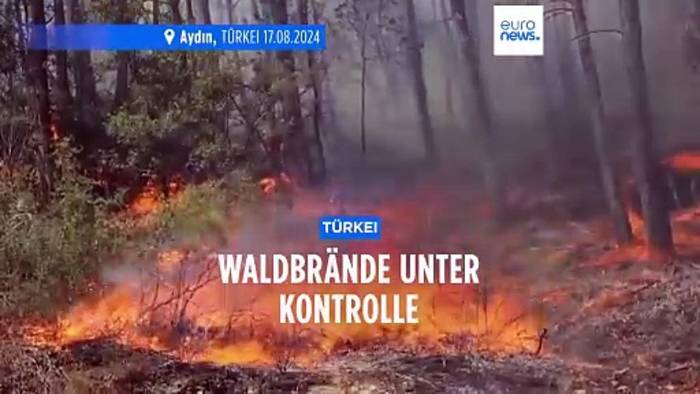 Video: Die meisten Waldbrände in der Westtürkei unter Kontrolle