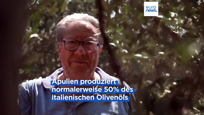News video: Trockenheit: Italienische Olivenölproduktion in Gefahr