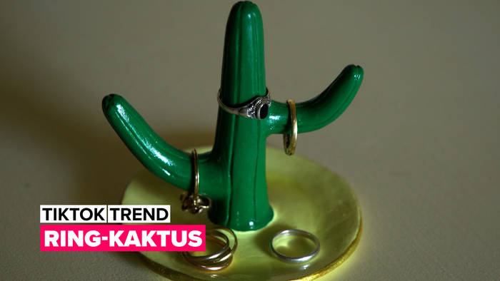 Video: TikTok Trend: Ring-Kaktus