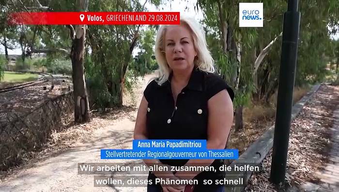 Video: Ausnahmezustand in Griechenland: Tausende tote Fische im Hafen von Volos