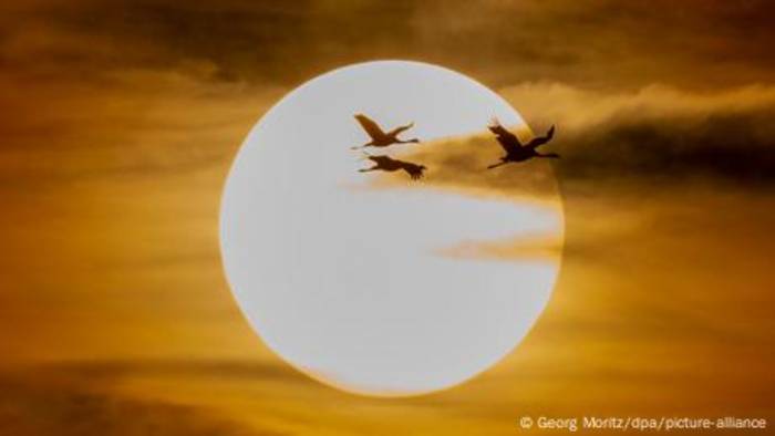 News video: Wie funktioniert unsere Sonne?