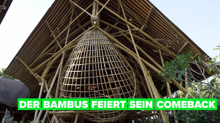 Video: Grüne Helden: widerstandsfähige Gebäude aus Bambus