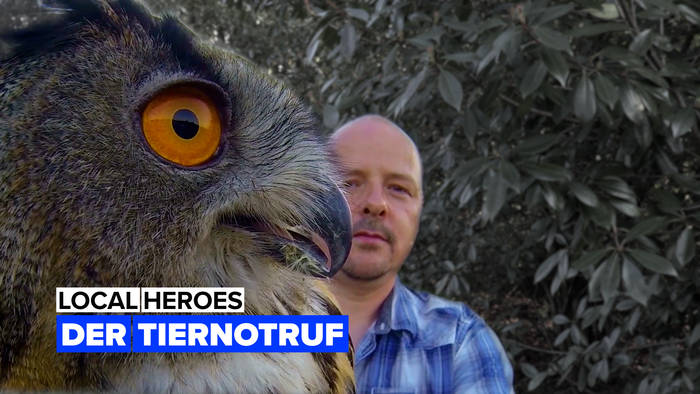 Video: Der Tiernotruf