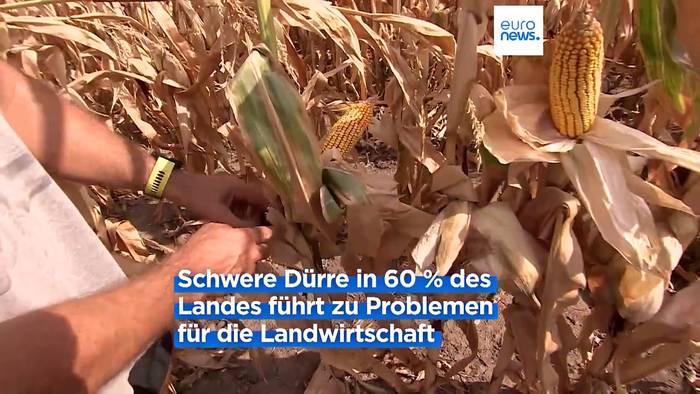 Video: Ungarns Hitzesommer führt zu niedrigen Wasserpegeln und Ernteausfällen