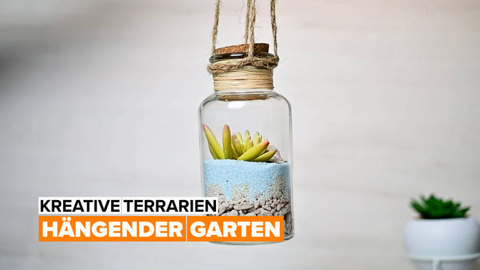 News video: Kreative Terrarien: hängender Garten