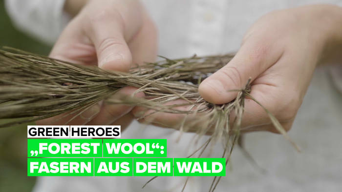 Video: Grüne Helden - Forest Wool