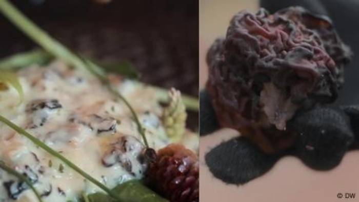 Video: Finnische Spezialität: giftige Pilze, richtig zubereitet